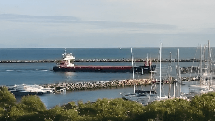 Harbor Entrance live coastal view